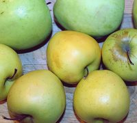 IMG_2086